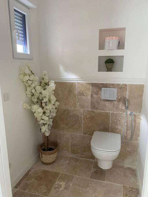 Apartamento Hortillonne Amiens Exterior foto